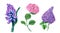 Vintage floral collection of Hyacinth, Hydrangea and Lilac