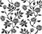 Vintage floral seamless pattern with classic hand drawn roses