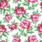 Vintage floral seamless pattern with flowering pink peonies, on white background. Elegance watercolor hand drawn painting illustra