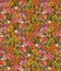 Vintage floral seamless pattern with humming bird