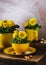 Vintage floristic arrangement with yellow, orange primula flowers in vintage enamel cups and pots.