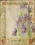 Vintage - Flower Collage Scrapbook Background Frame