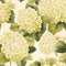 Vintage Flower Seamless Pattern With Precise And Lifelike White Flowers