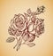 Vintage flowers. Hand drawn retro sketch flower rose. Vector illustration
