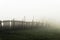 Vintage foggy fence