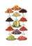 Vintage food fruits clip art set