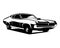 Vintage Ford Torino Cobra. isolated white background view from side. Best for vintage car industry