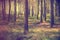 Vintage forest background