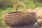 Vintage foto of Empty basket / Braided basket basket on green lawn