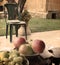 Vintage Fruits, Lebanon