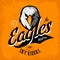 Vintage furious eagle bikers gang club vector logo concept on orange background.