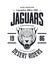 Vintage furious jaguar custom motors club t-shirt vector logo on white background