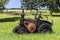Vintage German tractor Lanz Bulldog