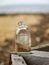 vintage glass bottle from million dollar point on santo island in vanuatu