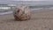 Vintage globe with America map on sand by sea