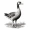 Vintage Goose Woodcut Engraving: Dark Academia Halloween Clipart