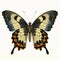 Vintage Gothic Butterfly Illustration: Golden Swallowtail In Hyper-realistic Detail