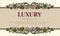 vintage grape frame for design ,text box retro style of invitations