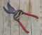Vintage grape shears with red plastic handle