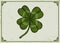 Vintage green lucky clover