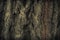 Vintage grunge wood bark texture,surface background