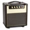 Vintage Guitar Amplifier