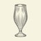 Vintage hand drawn beer glass. Empty pilsner glass of beer isolated on light background