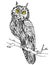 Vintage hand drawn doodle decorative eagle owl. sketch for adult antistress coloring page, tattoo, poster, print, t