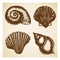 vintage Hand drawn seashell collection. Set of various beautiful engraved mollusk marine shells on retro textured background.