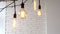 Vintage hanging lamps on white background of wall. Media. Glowing vintage light bulbs of different shapes hang on branch