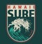 Vintage hawaii surfing colorful label