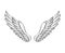 Vintage heraldic wings sketch. Monochrome stylized birds wings. Hand drawn contoured stiker wing in open position