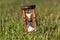 Vintage hourglass in grass