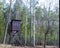 Vintage hunter hut in forest. Hunter post to watch and shoot at wild animals.