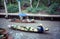 Vintage image of a Floating market