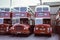 Vintage image of Scottish Buses