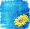 Vintage image of sunflower on grunge background