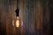 Vintage incandescent Edison type bulb on wooden background