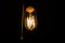 Vintage incandescent lamp