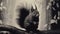 Vintage-inspired Art Nouveau Squirrel Photo: Dark Black And Crimson