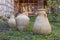 Vintage jugs stand on the grass in the territory of the Greek Monastery - Shepherds Field in Bayt Sahour, a suburb of Bethlehem.