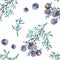 Vintage juniper seamless pattern. can be used as greeting card, invitation card for wedding, birthday and other holiday