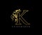 Vintage K Letter Luxury Logo. Letter K With Gold Floral Shape design perfect for fashion, Jewelry, Beauty Salon, Hotel Logo. Cosme