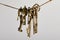 Vintage keys hanging on rope isolated