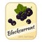 Vintage label with blackcurrant isolated on white background in cartoon style. Vector illustration. Berries Collection.