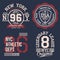 Vintage labels set, athletic sport typography for t shirt print. Varsity style. T-shirt graphic