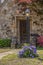 Vintage lamp post with purple clematis full of blooms vining around the bottom of it and rustic rock cottage door blurred behind