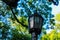 Vintage Lamppost Park Detail Garden Natural Outdoor