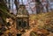 Vintage lantern in the autumn forest