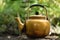 Vintage large aluminum tea pot kettle stove on nature background.